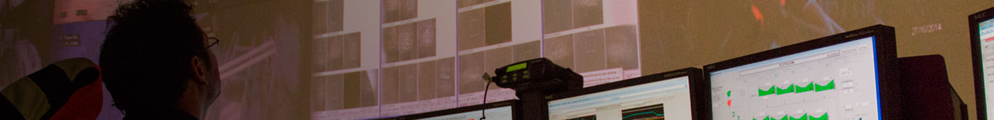 Participación en el Consejo Internacional de Minería y Metales (ICMM)